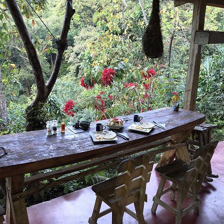 Finca San Rafael - Cafe Y Cacao Минка Экстерьер фото