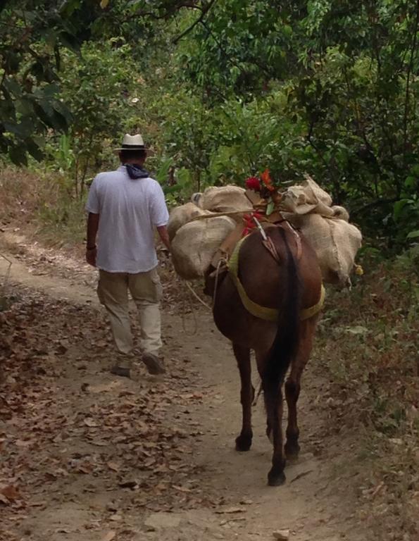 Finca San Rafael - Cafe Y Cacao Минка Экстерьер фото
