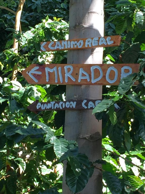 Finca San Rafael - Cafe Y Cacao Минка Экстерьер фото