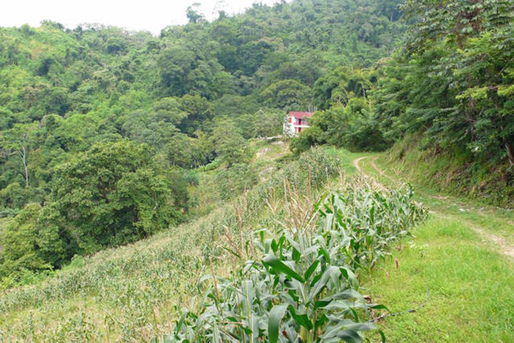Finca San Rafael - Cafe Y Cacao Минка Экстерьер фото
